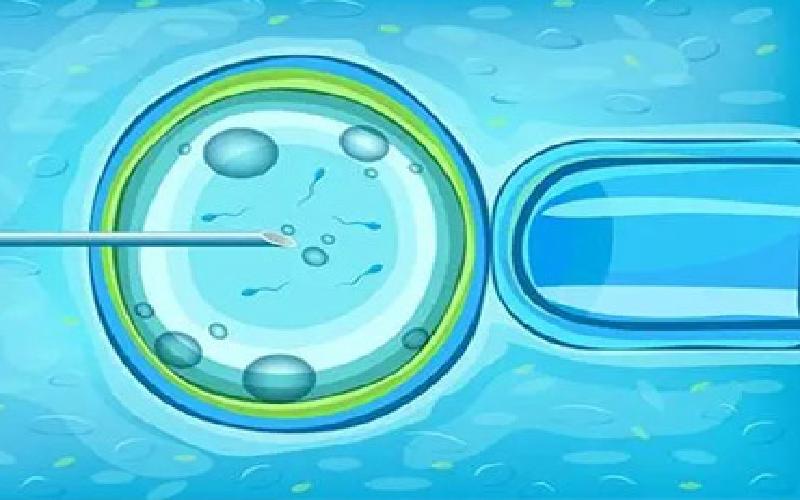 邹淑花 试管代生